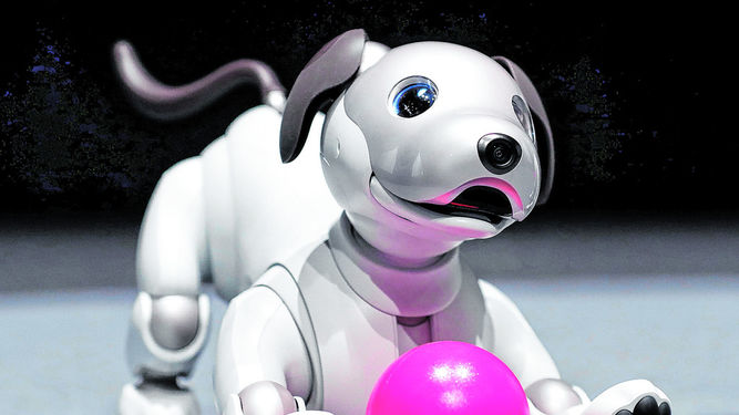 Aibo, el perro robot de Sony | La Prensa Panamá